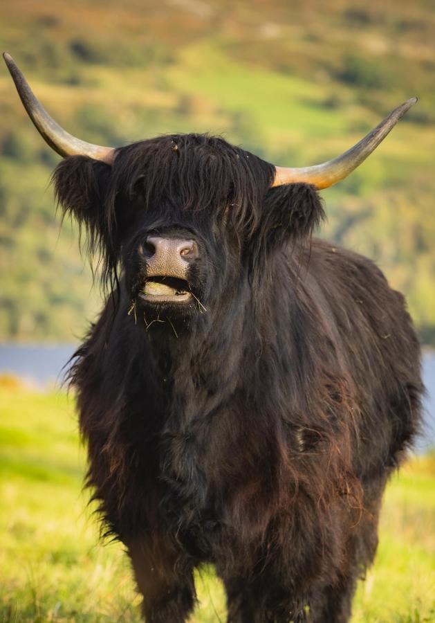 Loch Ness Cottage 포트오거스타 외부 사진