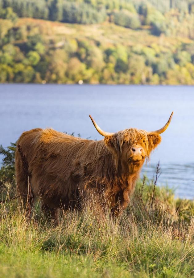 Loch Ness Cottage 포트오거스타 외부 사진